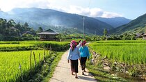 3D2N- Rice Terraces Treks & Easy rider from Sa Pa