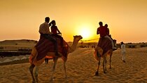 Camel Ride Dubai