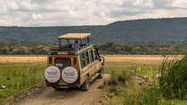 Tanzania Safari 4-day Tour