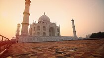 From Delhi: Golden Triangle Private Tour with Hotels 