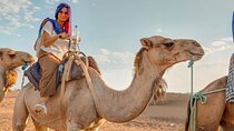 Discovering the 3 days trip to desert (merzouga trip from marrakech)