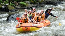 Bali Private White Water Rafting in Ubud Including Transport