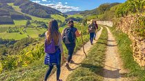 Wachau World Heritage Hike