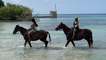 Montego Bay River Rafting & Horseback Ride 'n' Swim Private Tour 