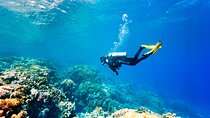 Fethiye Scuba Diving Experience