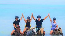 Atv and Horseback Riding Private Tour