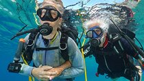 Discover Scuba Diving