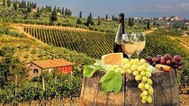 Private half day Tour to Chianti Classico from Florence