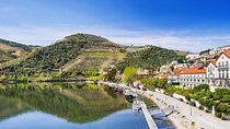 Private Wine & Food Tour in Douro