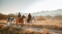 2-Day Horse Riding Tour in Vashlovani National Park