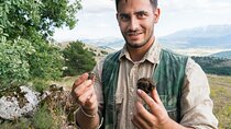Private Truffles Hunting with Lunch from Florence 5 hours