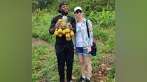 Tour a Jamaican Farm