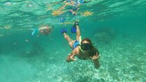 Snorkeling Adventure in Puerto Morelos