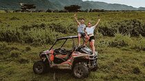 Rastasafari Experience ATV Tour