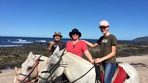 Horseback Riding in Tamarindo Beach