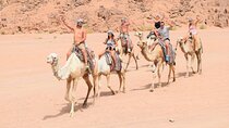 Camel Ride, Bedouin Dinner & Stargazing in 4X4 Jeep Safari in Hurghada