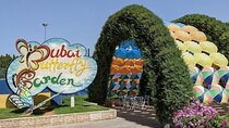 Dubai Butterfly Garden Entry Ticket