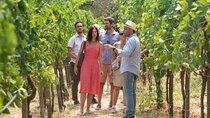 Authentic Farm Tour with Pizza, Cheese, Wine & Limoncello Tasting