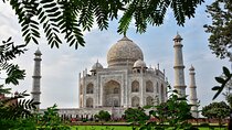 From Delhi: Sunrise Taj Mahal & visit Elephant Conservation