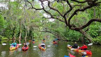 Dora Canal Half-Day Kayak and Paddle Board Rental Adventure