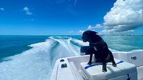 Explore the Waters of Key West