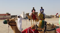Doha; Sunrise Desert Tour and camel safari 4hrs 
