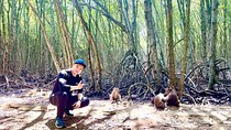 Can Gio Mangroves - Monkey Island by Motorbike and Scooter
