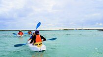 5 Days Adventure in Galapagos Two Islands