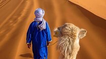 4-Days Atlas and Sahara Private trip from Marrakech