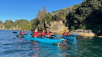 Guided Kayak Tour of Manly Cove Beaches
