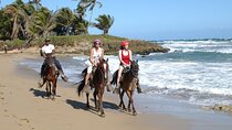 Horseback Riding Tour on the Beaches of Punta Cana