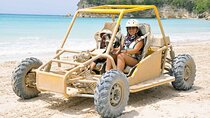 Half Day Buggies and Horseback Experience in Punta Cana