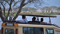 5-Days Private Midrange Safari; Serengeti, Ngorongoro & Materuni