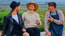 Casablanca Valley: Premium Wine Tour with LGBT+ Guide