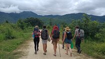 Aural Mountain Trek: Cambodia Tallest Peak Challenge