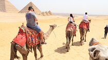 Cairo Layover 8 Hours Visit Great Pyramids, Egyptian Museum and Bazaar 