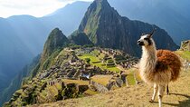 5-Day Tour: The Best of Cusco, Trekking and Machu Picchu