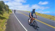Haleakala Morning Best Guided Bike Tour with Bike Maui
