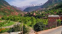 Private Day Trip To Ourika Valley And Anima Garden(André Heller)