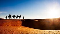 9 Days CAMEL TREK DESERT MOROCCO