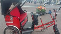 2 Hours Private Amsterdam Rickshaw Tour