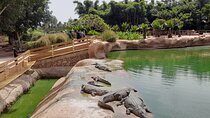 Agadir Crocoparc Tour with local guide