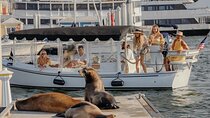 Luxury Shared E-Boat Cruise with Wine, Charcuterie & Sea Lions Spotting