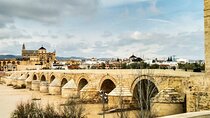 Private tour to Córdoba from Seville (several options)