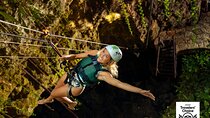 4-in-1 Cenote Tour Guided Experience with Breakfast, Lunch & Wine