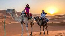 Group - 1 night Desert tour to Merzouga from Fes to Marrakech/Fes