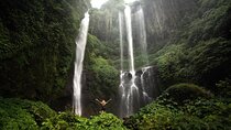 Private Full-Day Sekumpul Waterfall Hiking Tour