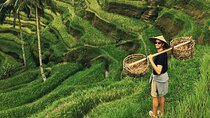 Private Tour Ubud - Best of Ubud with All Inclusive