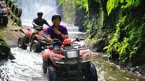 Bali Quad Bike Through Gorilla Cave - Monkey Forest and Waterfall