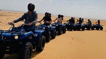 Desert Safari with Quad Bike Ride in Red Dunes
